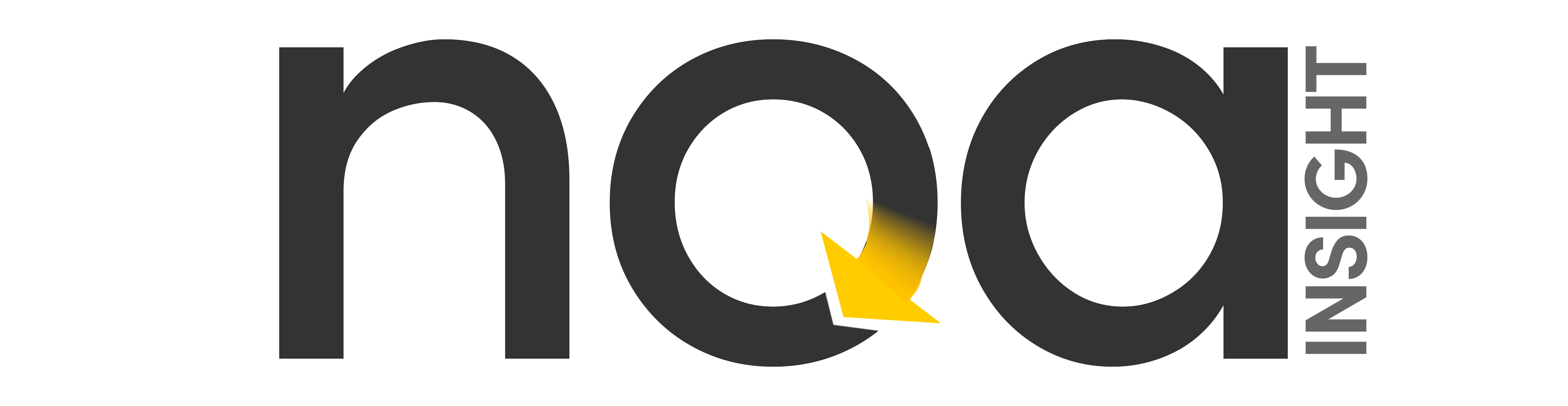 Noa Insight Logo
